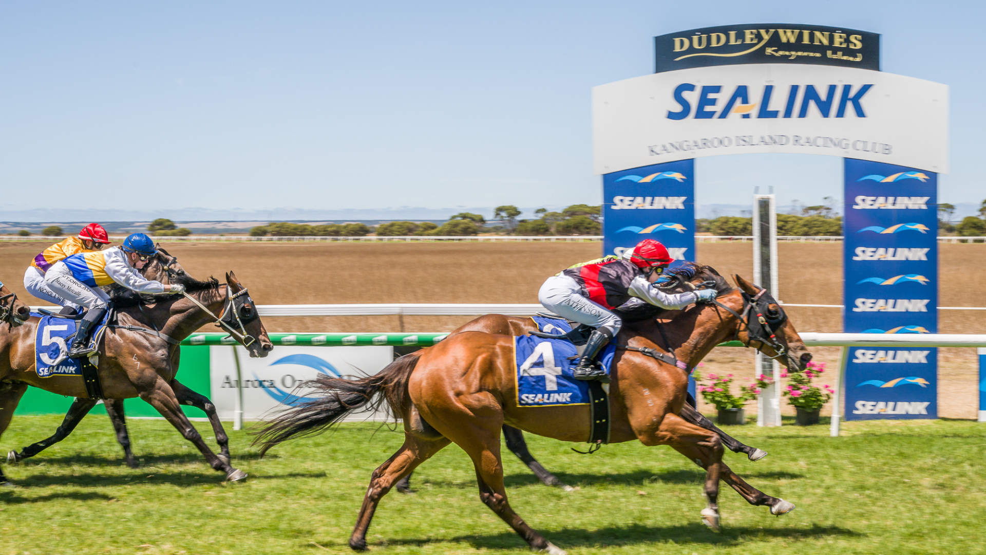 SeaLink Marks 20 Years Backing Kangaroo Island Racing Carnival ...