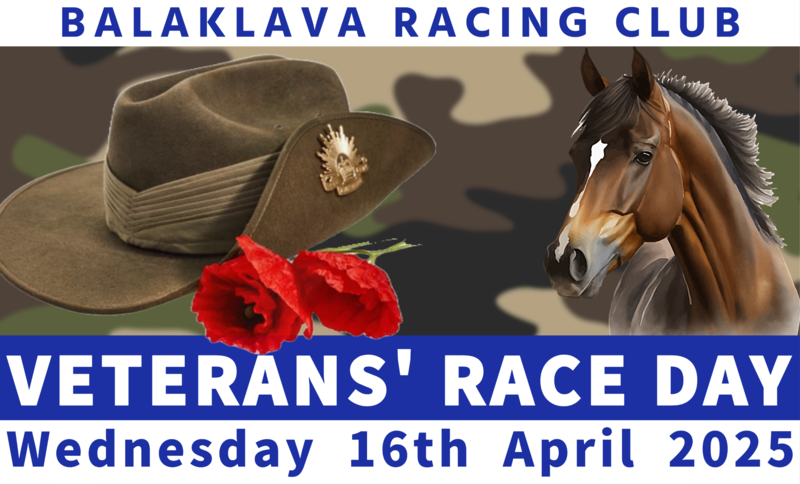 Veterans Banner 2026