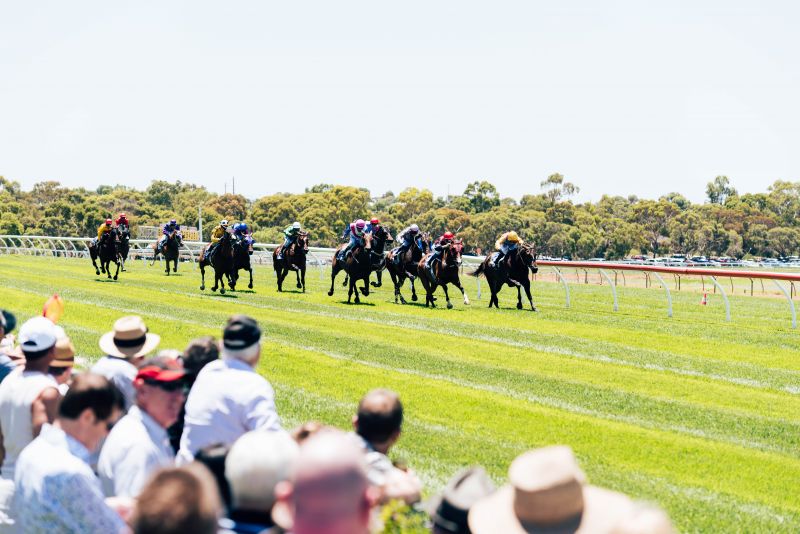 Racing Mount Gambier