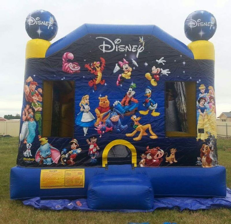 Waterslide Jumping Castle