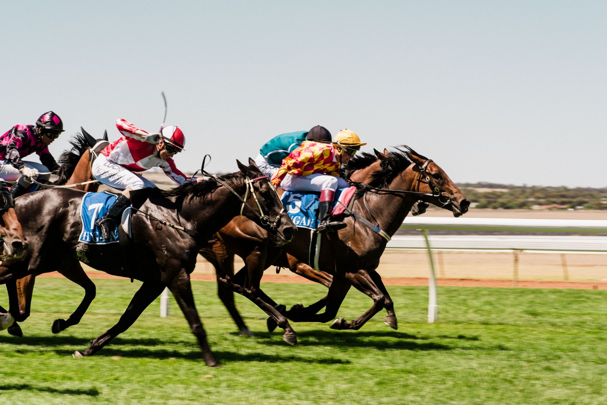 From the Adelaide Hills to the Fleurieu - your racing getaways sorted ...