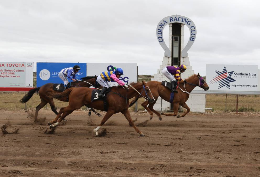 It’s Humphrey is out to break the Ceduna Cup Hoodoo | Country Racing SA