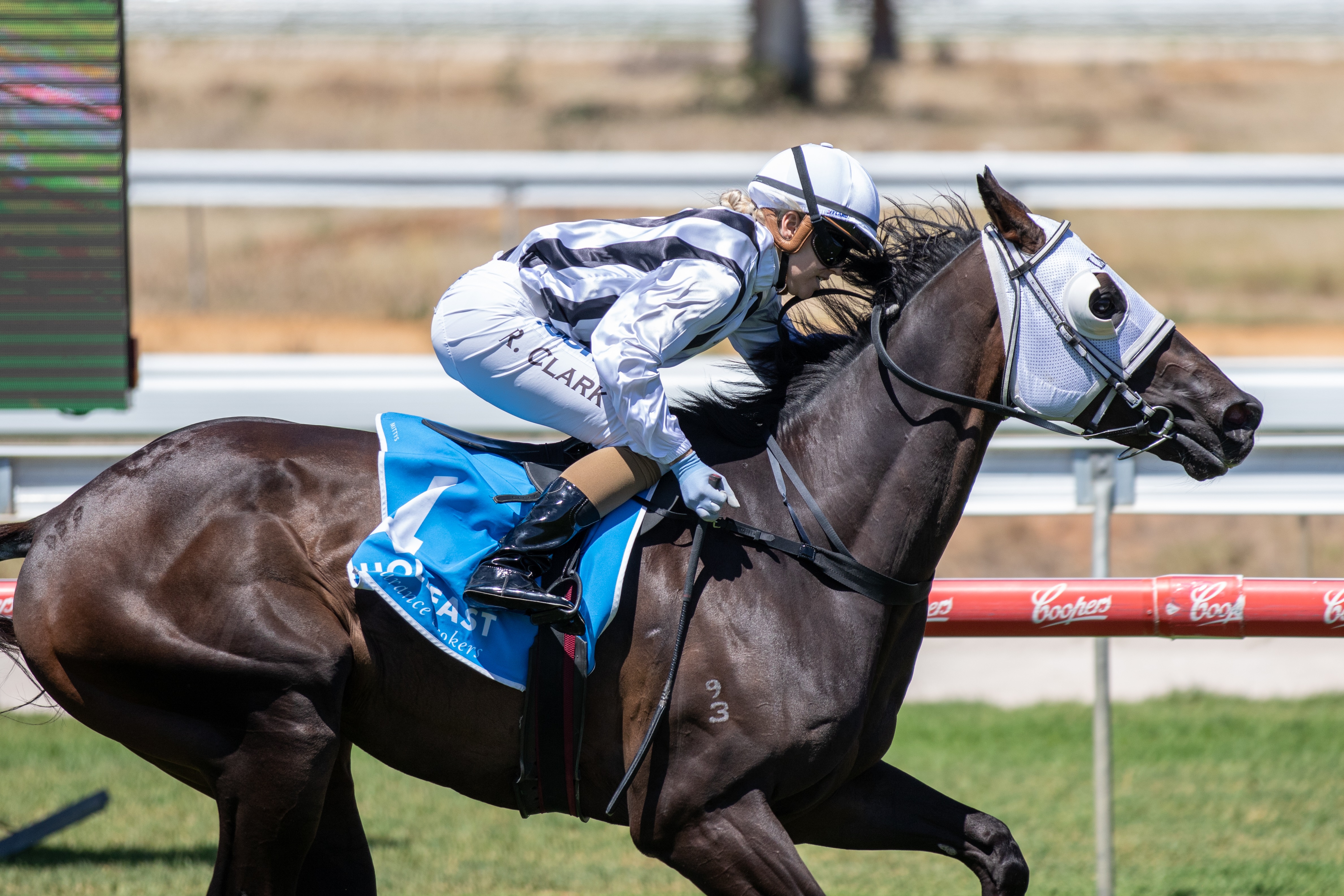Shwab Racing Bob and Balf have plenty riding on the Birthday Cup | Country Racing SA