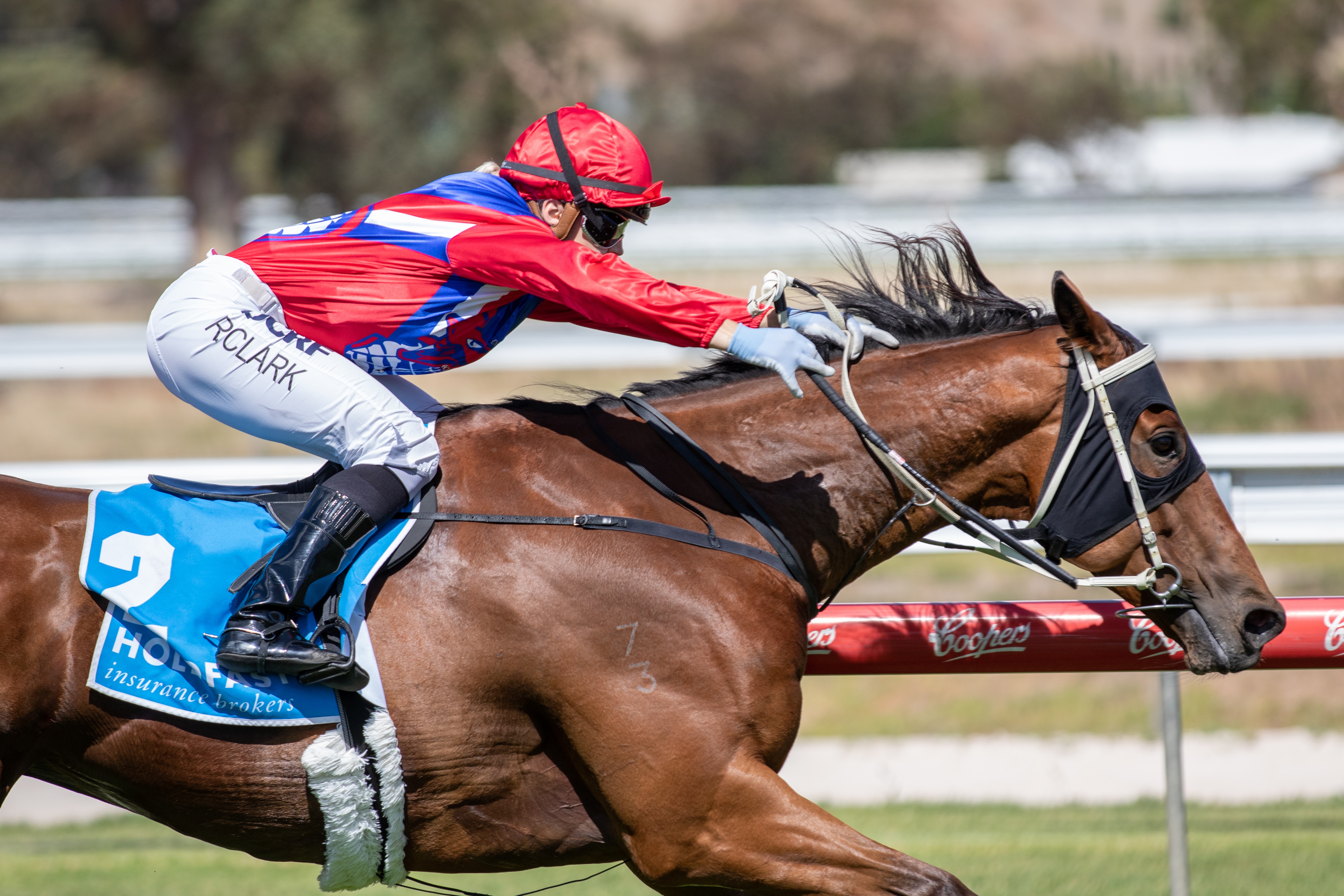 Dennis aiming for Kangaroo Island Cup double | Country Racing SA